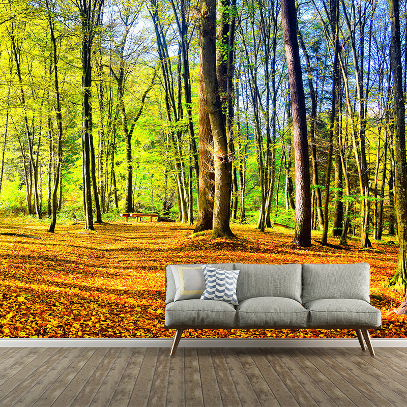 Forest Landscape Removable Wall Mural for Sitting Room, Water Resistant