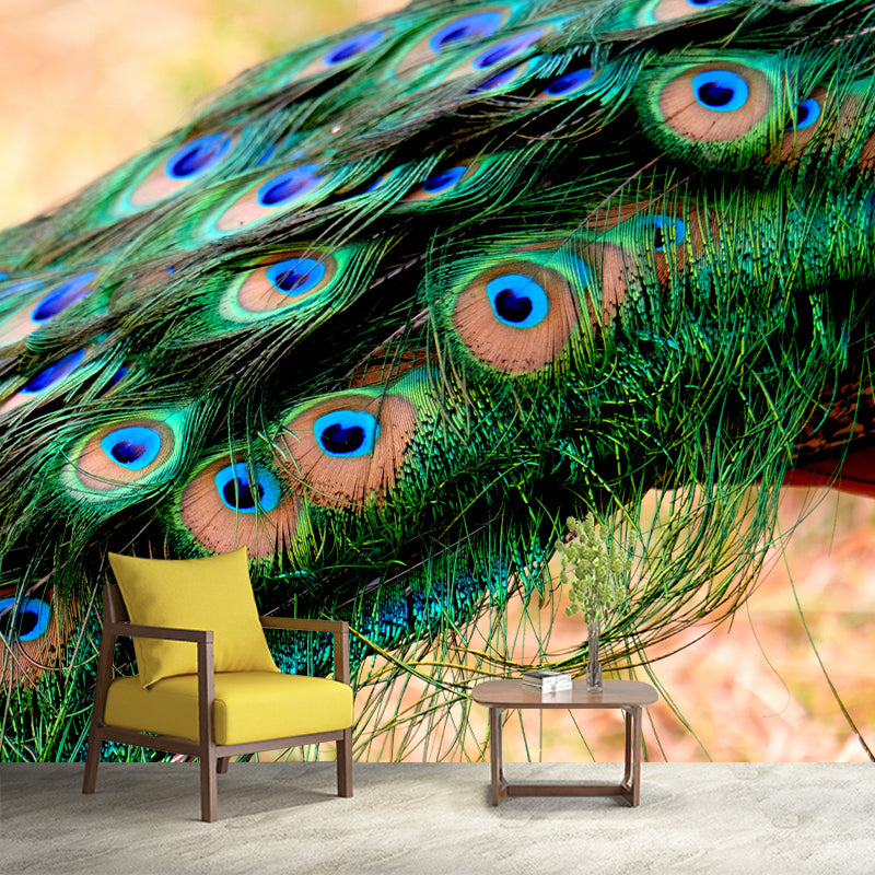 Beautiful Peacock Feathers Mural Customized Modern Wall Covering for Bedroom