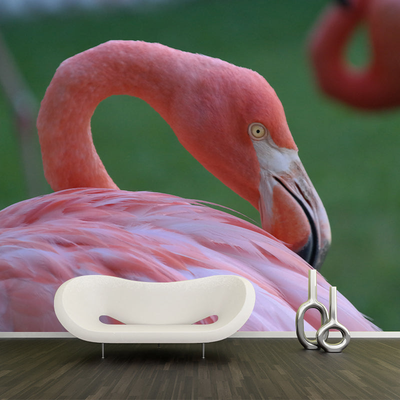 Flamingo Wallpaper Mural Customized Modern Wall Covering for Bedroom, Waterproofing