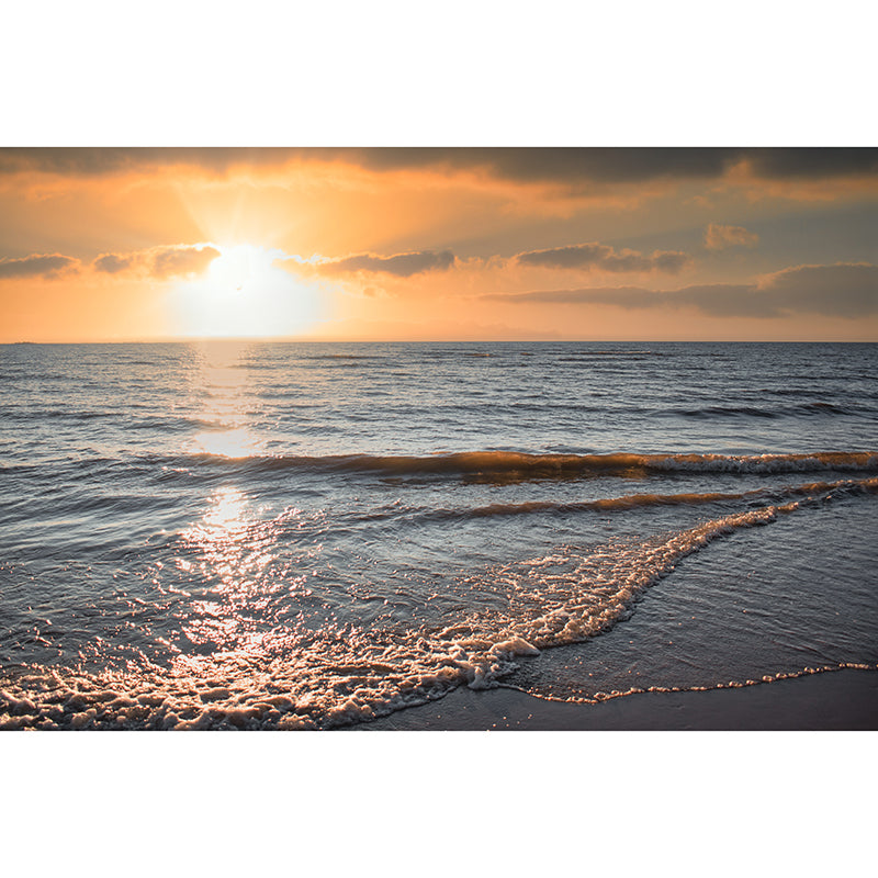 Sea Mural Wallpaper Contemporary Wall Covering for Dining Room, Waterproofing