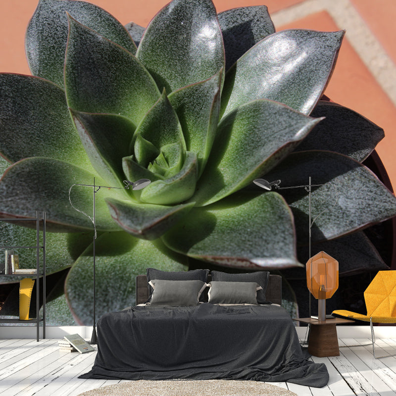 Plants Wall Decals Removable Wall Art Decor for Office Home Apartment, Moisture Resistant