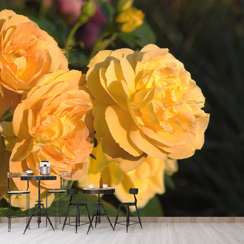 Rose Wall Mural Stain-Resistant Wall Decor for Guest Room, Personalized Size Available