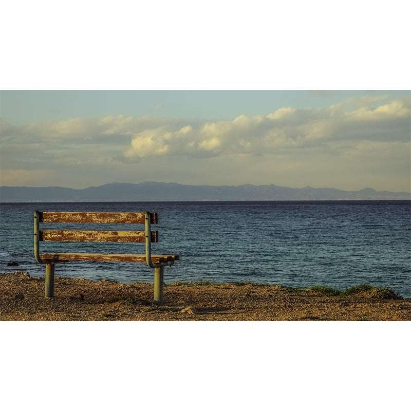 Contemporary Mural Wall Decor Environment Friendly for Dining Room