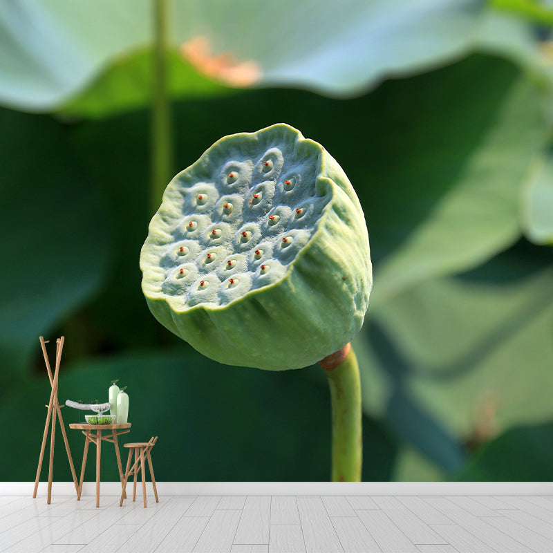 Water Plants Wall Mural for Home Decor Customized Wall Covering, Moisture Resistant