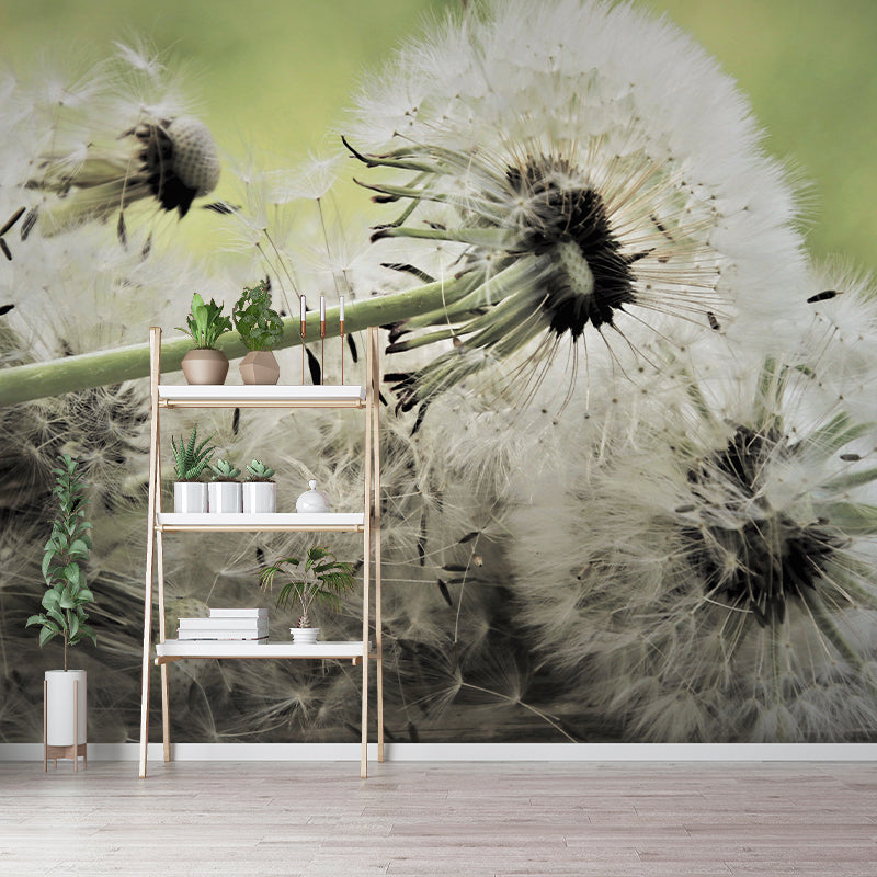 Dandelion Seed Wall Covering for Reading Room Bedroomm, Water Resistant