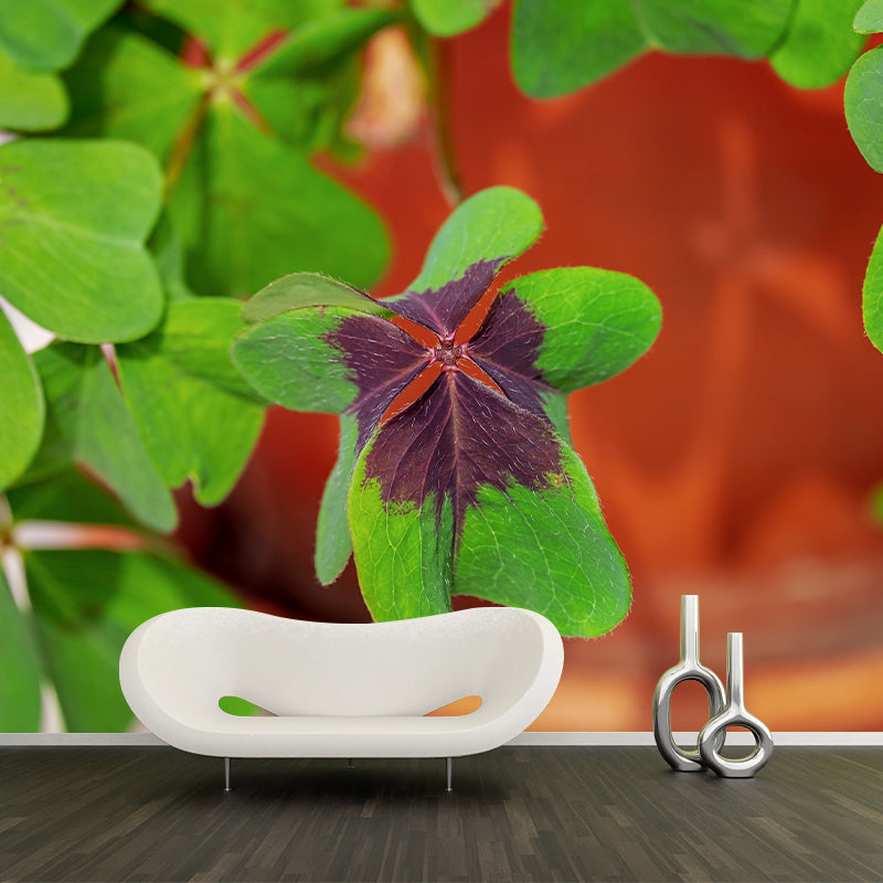 Clover Plant Mural Decal for Reading Room Study Room, Moisture Resistant