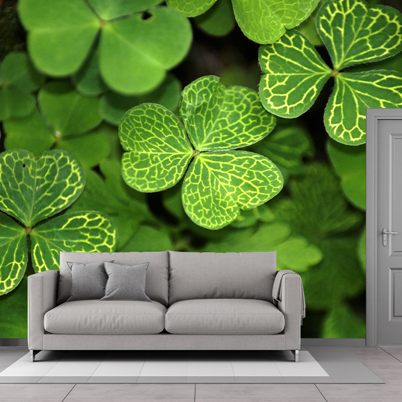 Clover Plant Mural Decal for Reading Room Study Room, Moisture Resistant