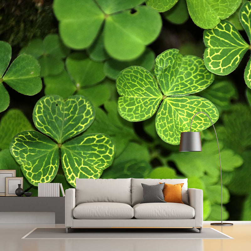 Clover Plant Mural Decal for Reading Room Study Room, Moisture Resistant