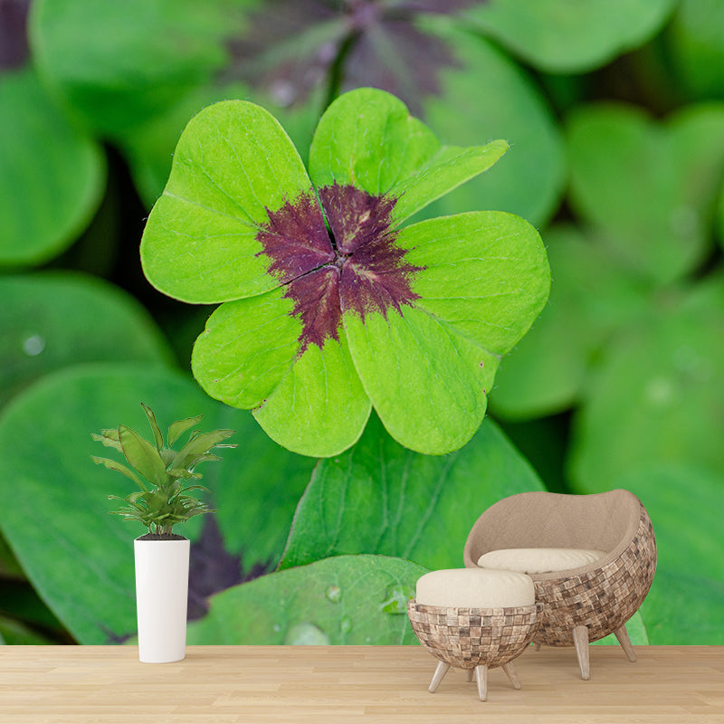 Green Clover Mural Wallpaper for Sleeping Room Water Resistant, Custom Size Available