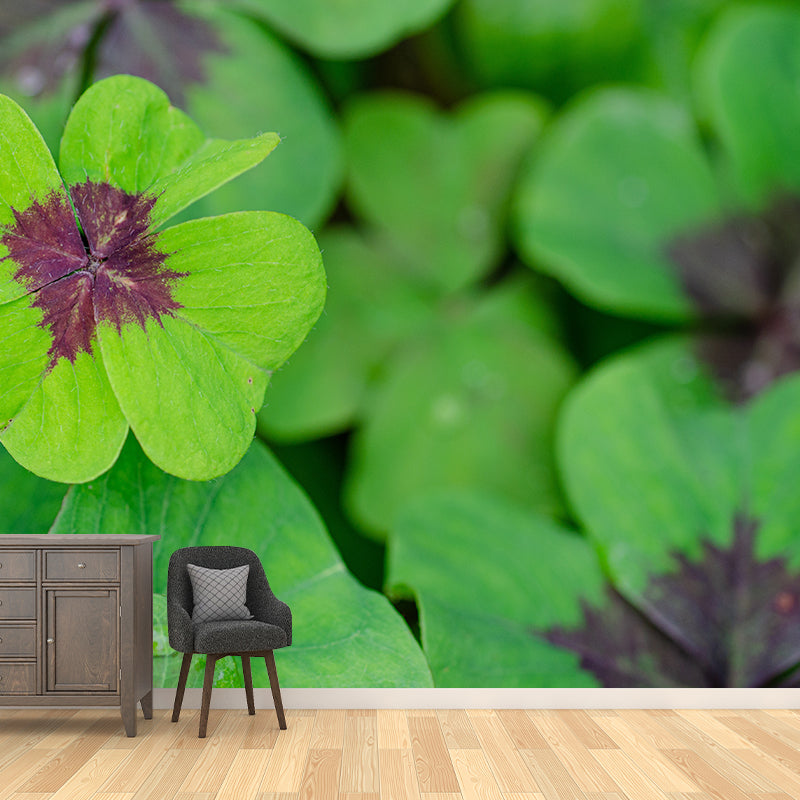 Green Clover Mural Wallpaper for Sleeping Room Water Resistant, Custom Size Available