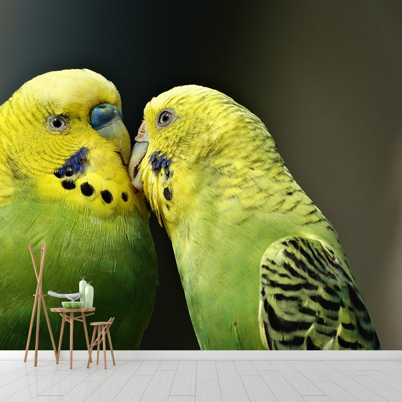 Parrot Animal Wall Mural for Living Room Bedroom Wall Art, Stain-Resistant