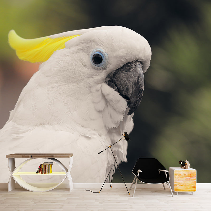 Parrot Animal Wall Mural for Living Room Bedroom Wall Art, Stain-Resistant