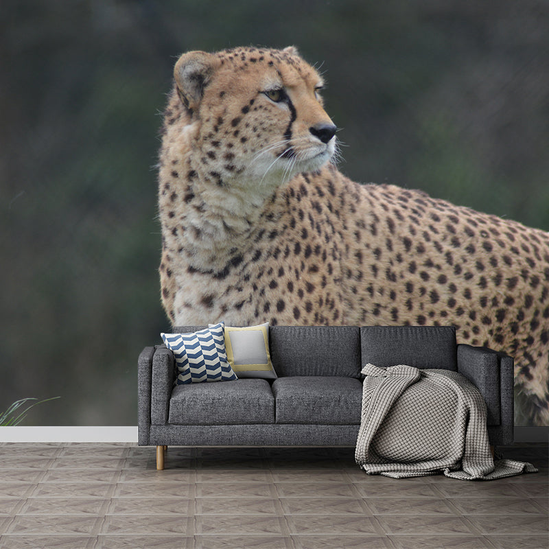 Cheetah Mural Waterproofing Wall Covering for Home Decoration, Made to Measure