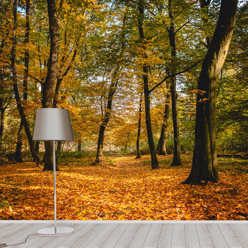 Forest Photo Wall Mural for Living Room Bedroom, Removable, Customized Size