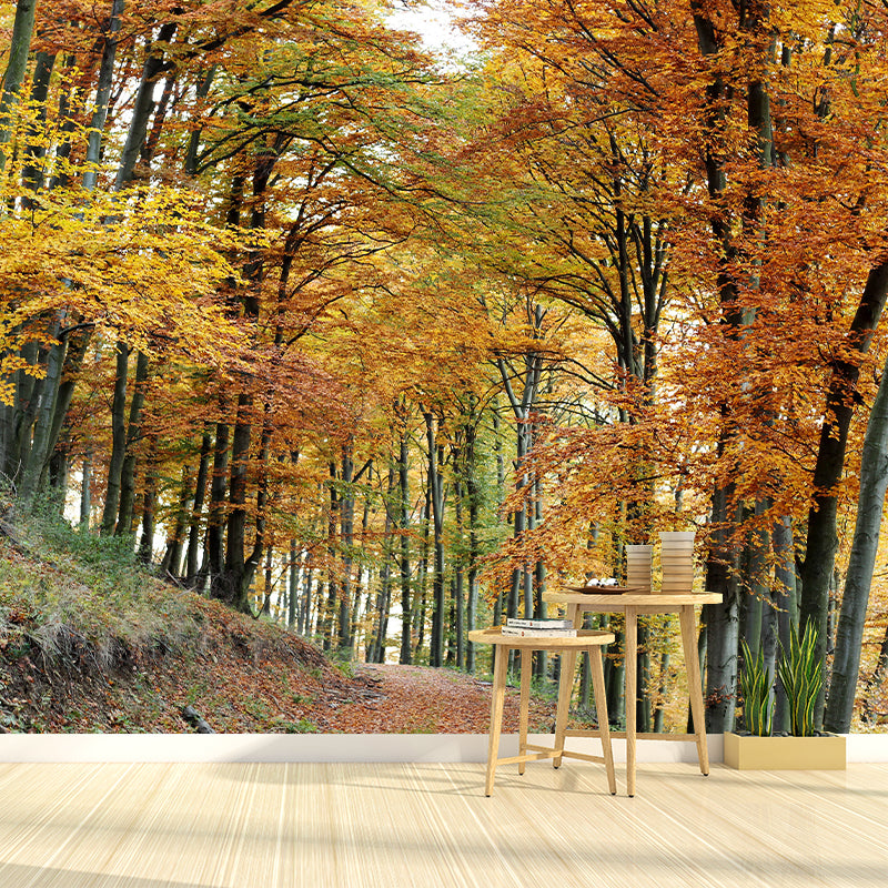 Forest Photo Wall Mural for Living Room Bedroom, Removable, Customized Size