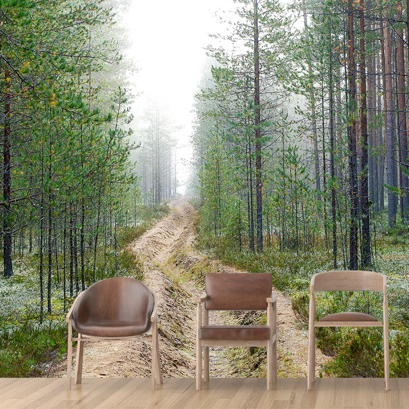 Forest Photo Wall Mural for Living Room Bedroom, Removable, Customized Size