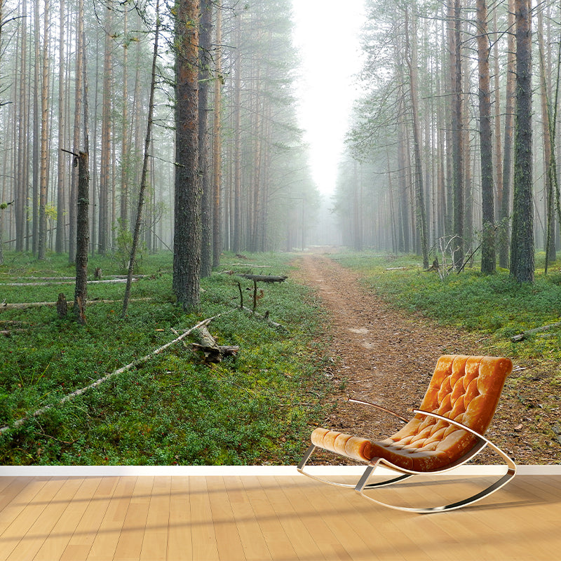 Forest Photo Wall Mural for Living Room Bedroom, Removable, Customized Size
