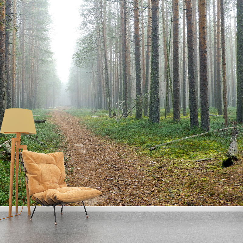 Forest Photo Wall Mural for Living Room Bedroom, Removable, Customized Size