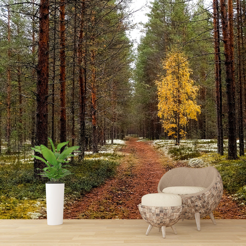 Forest Mural Wallpaper Full Size Stain-Resistant Living Room Home Decor