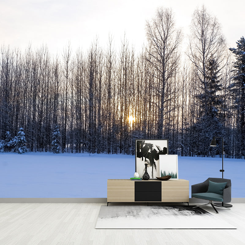 Forest Mural Wallpaper Full Size Stain-Resistant Living Room Home Decor