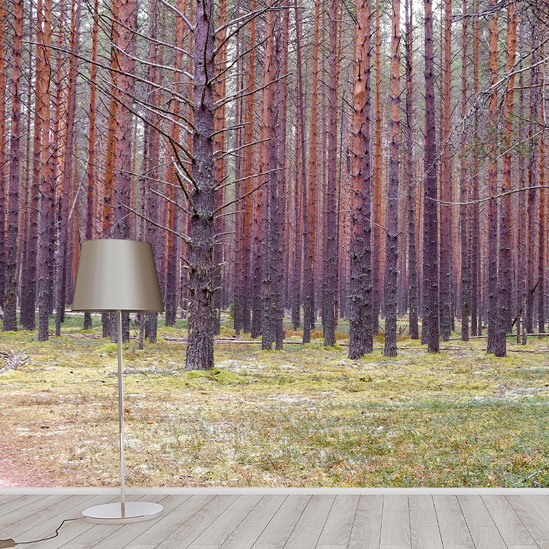 Forest Mural Wallpaper Full Size Stain-Resistant Living Room Home Decor