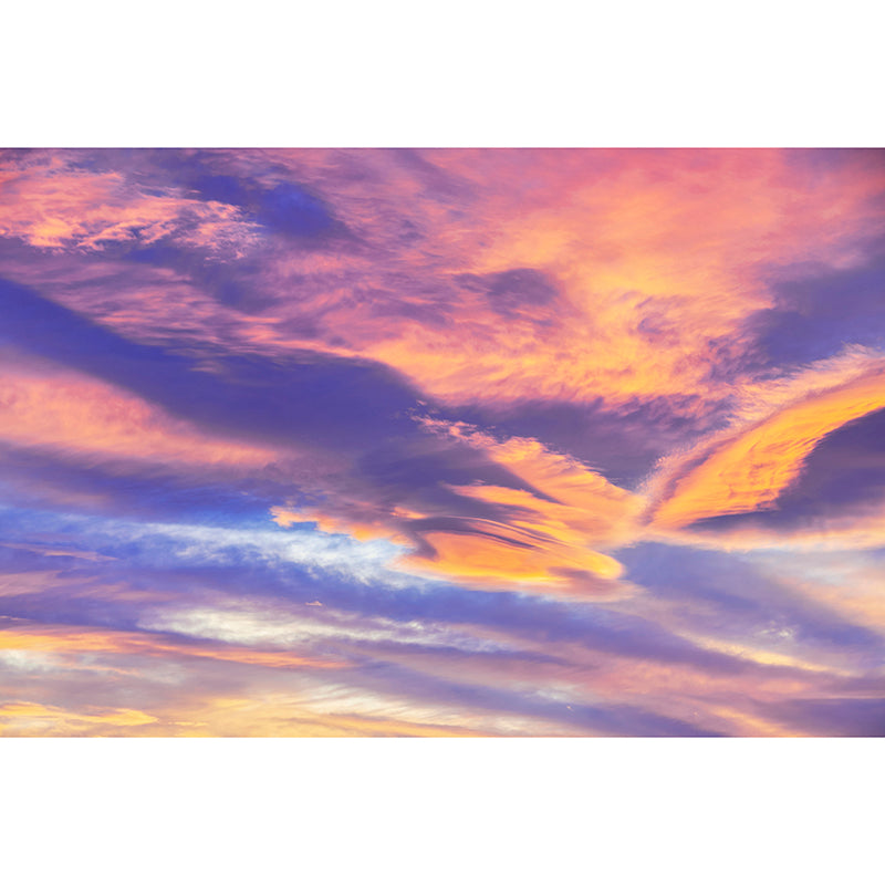 Sky Contemporary Wall Art Gepersonaliseerde Grootte Lichte Kleur Muurschildering Behang voor Eetkamer