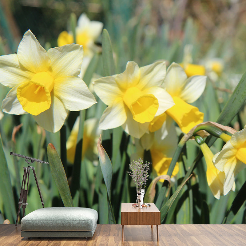 White Daffodil Mural Decal Waterproofing Wall Covering for Living Room, Custom Size