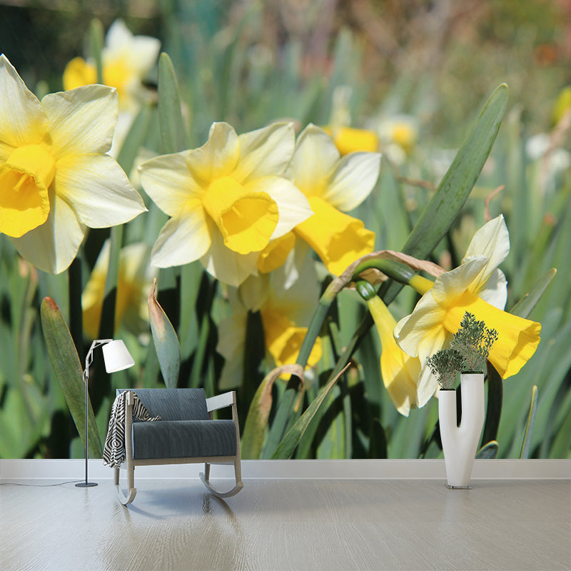 White Daffodil Mural Decal Waterproofing Wall Covering for Living Room, Custom Size