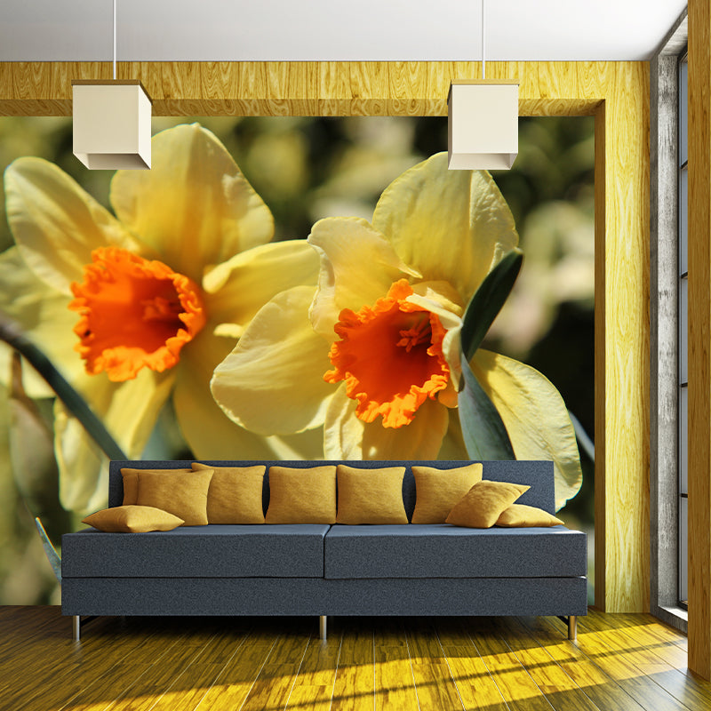 Daffodil Blossoming Flower Wall Paper Murals Waterproof Wall Decor for Bedroom