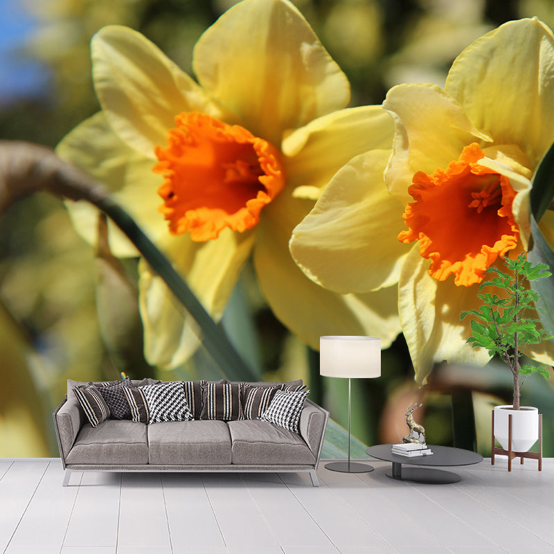 Daffodil Blossoming Flower Wall Paper Murals Waterproof Wall Decor for Bedroom