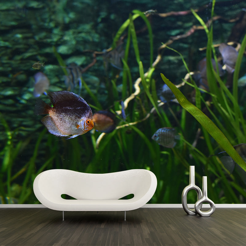 Rich Seabed Murals Modern Wall Covering for Sitting Room, Water Resistant
