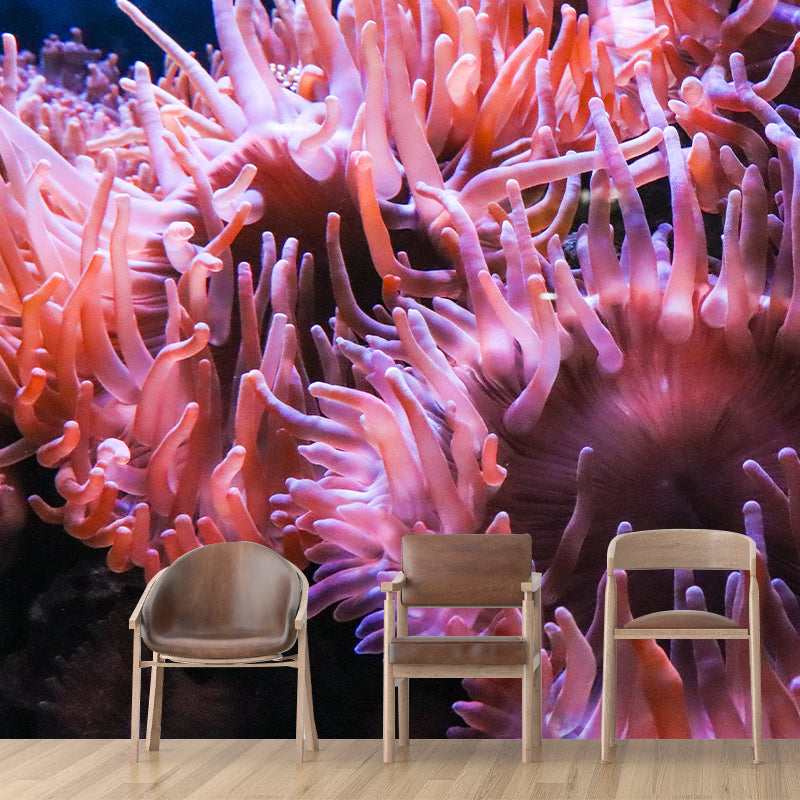 Abundant Sea Creatures Wall Covering for Home Wall Decor, Water Resistant