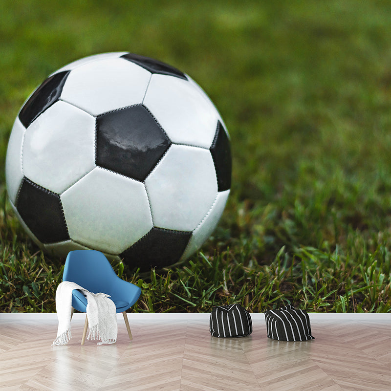 Girls Boys Bedroom Wall Murals Moisture Resistant Home Decor, Custom Size Available