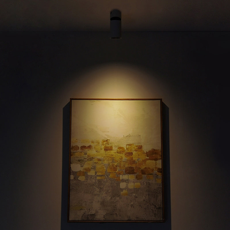 Mini plafonnier cylindrique monté en Surface moderne salon chambre réglable LED Downlight