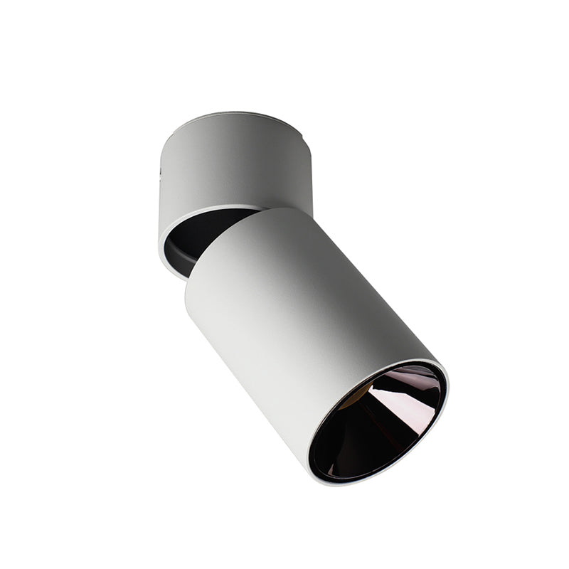 Mini plafonnier cylindrique monté en Surface moderne salon chambre réglable LED Downlight