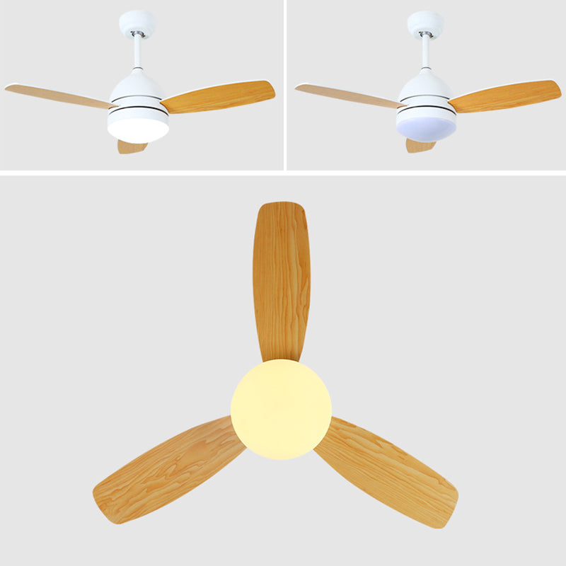 Macaron Dome Deckenventilator Leuchtt