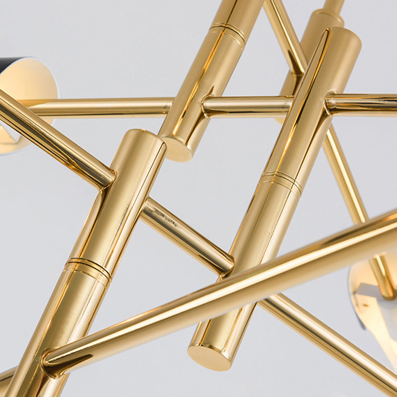 Metal Special Shape Chandelier Lighting Fixture