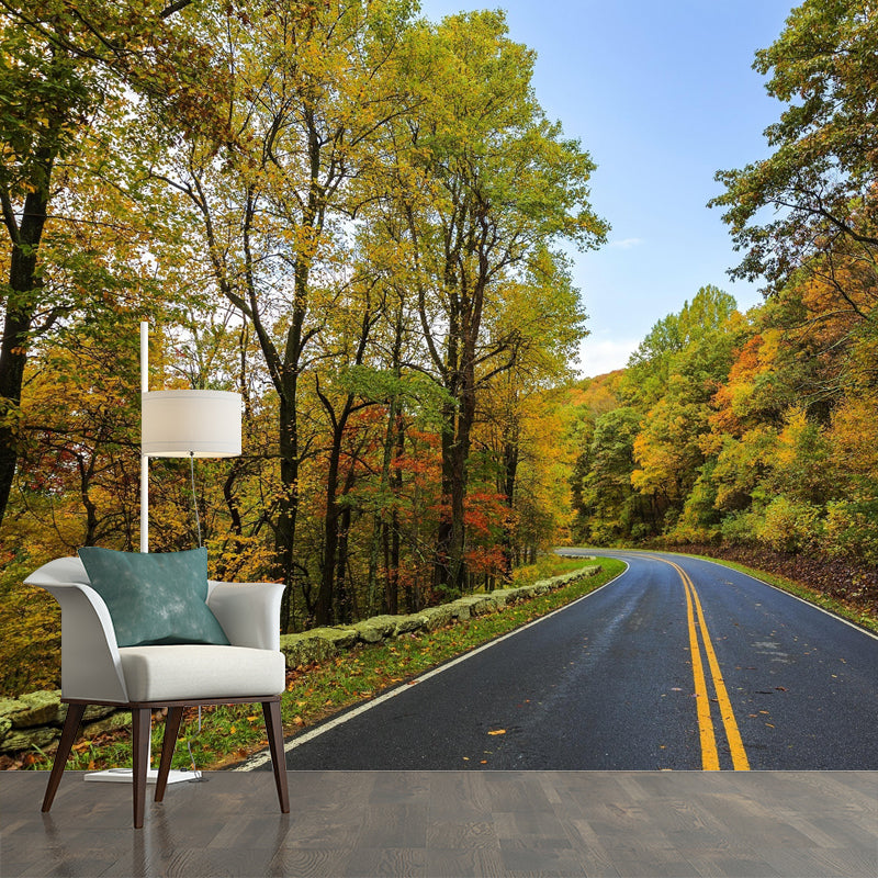 Road Wall Mural Wallpaper Mildew Resistant for Guest Room Decoration