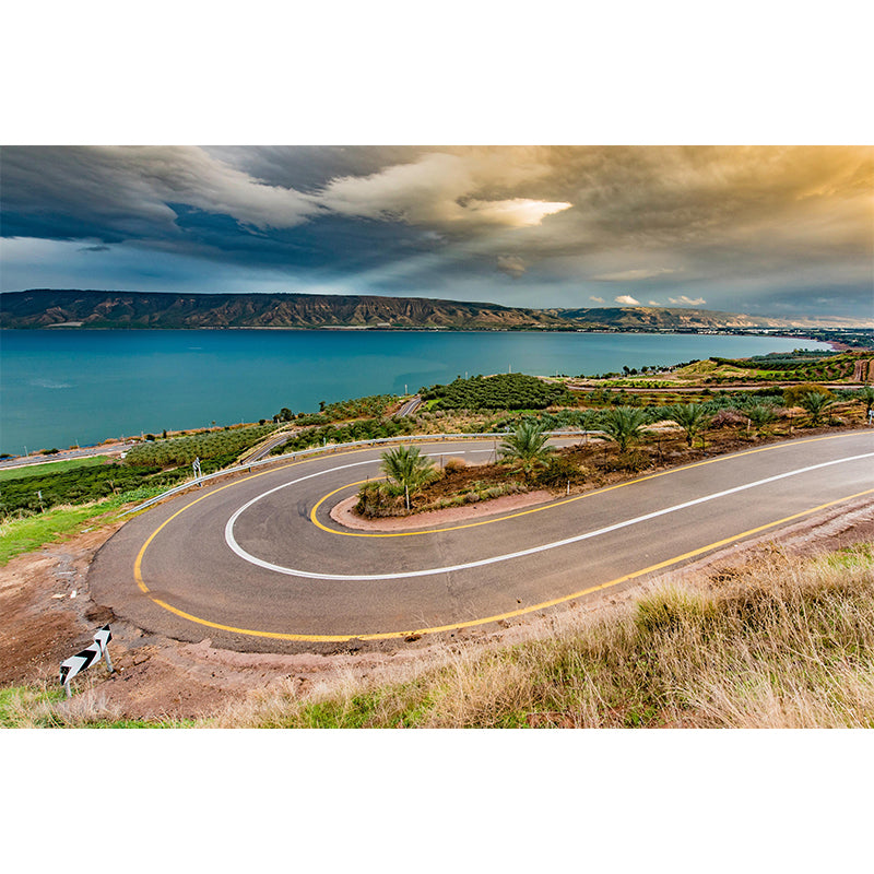 Horizontal Photography Curvy Road Mural Decorative Mildew Resistant for Living Room