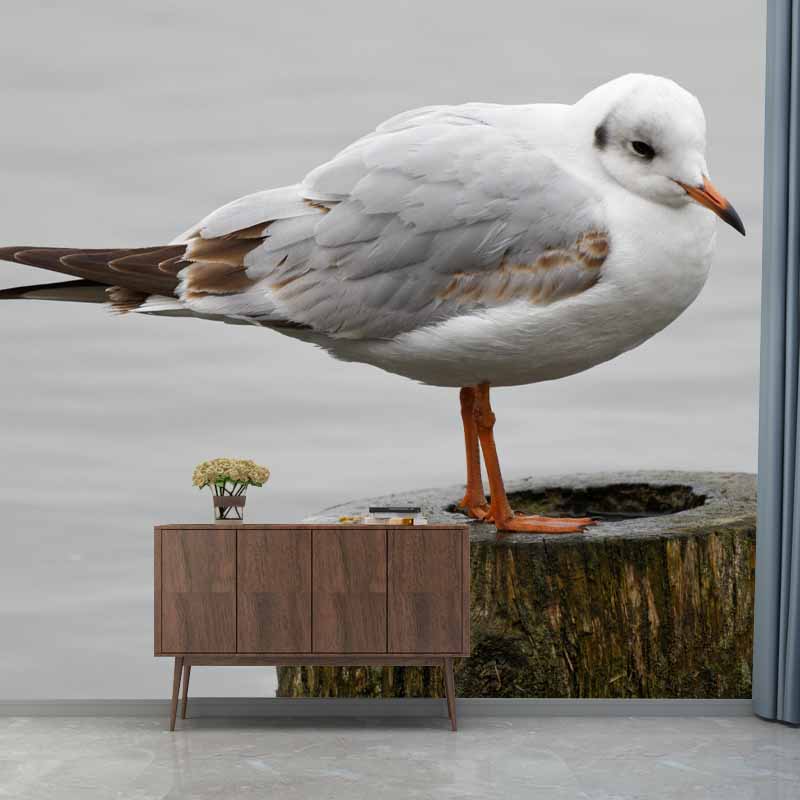 Horizontal Photography Seagull Wall Mural Decorative Mildew Resistant for Living Room