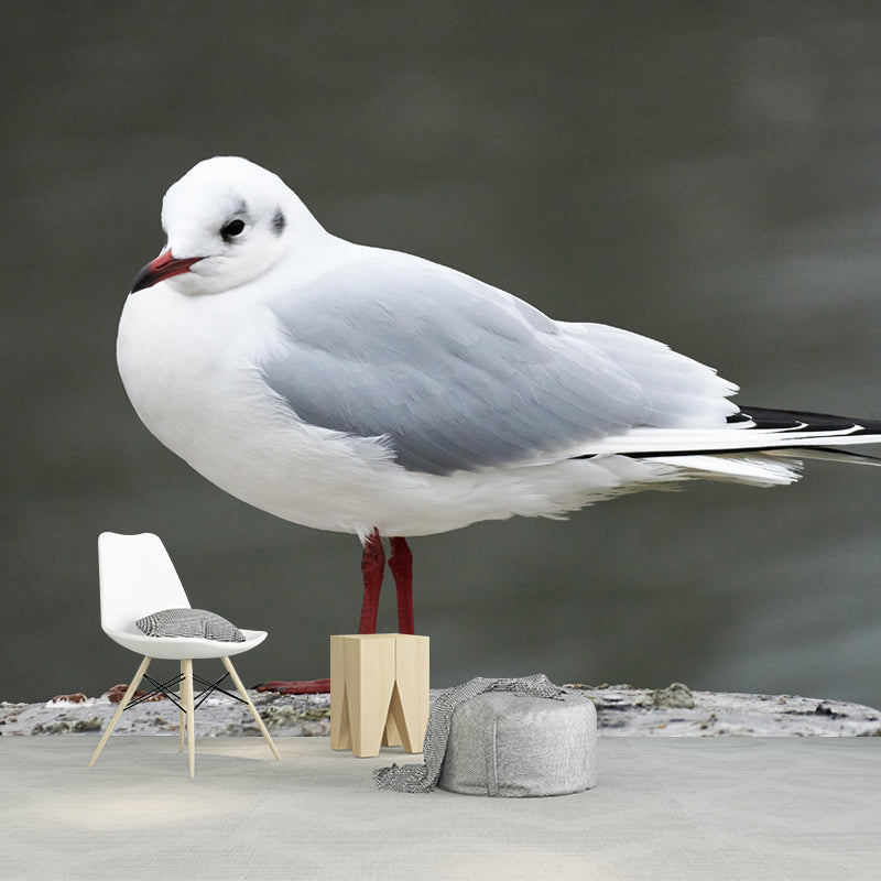 Horizontal Photography Seagull Wall Mural Decorative Mildew Resistant for Living Room