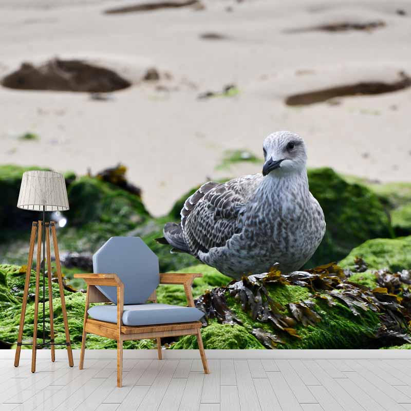 Horizontal Photography Seagull Wall Mural Decorative Mildew Resistant for Living Room