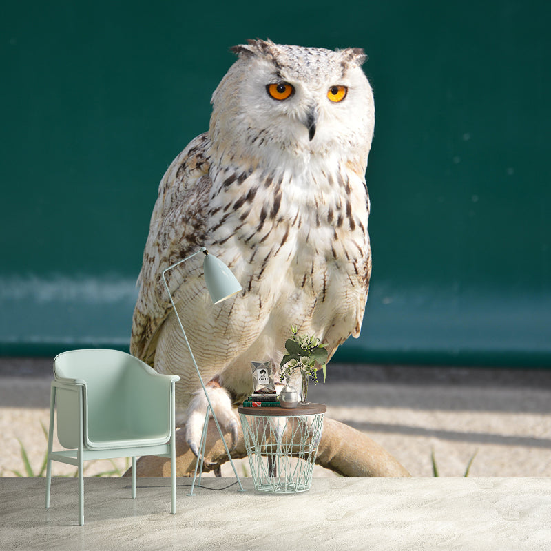 Horizontal Photography Owl Wall Mural Decorative Mildew Resistant for Living Room
