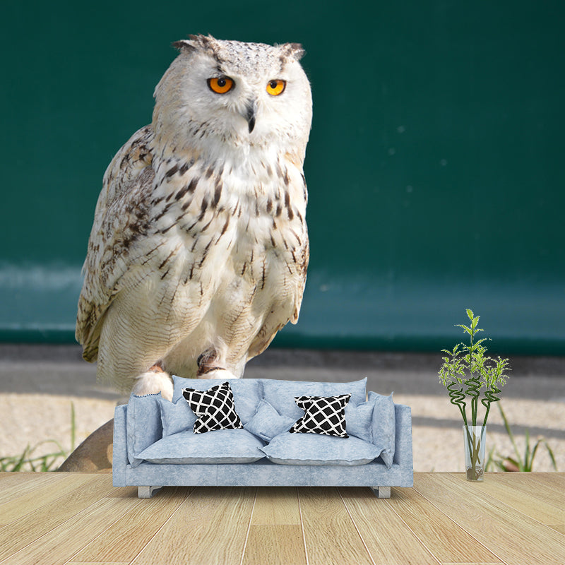 Horizontal Photography Owl Wall Mural Decorative Mildew Resistant for Living Room