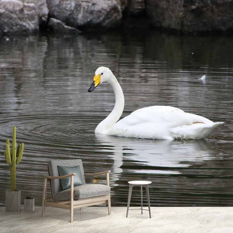 Customized Swan Wall Mural Environment Friendly Wallpaper for Guest Room Decoration