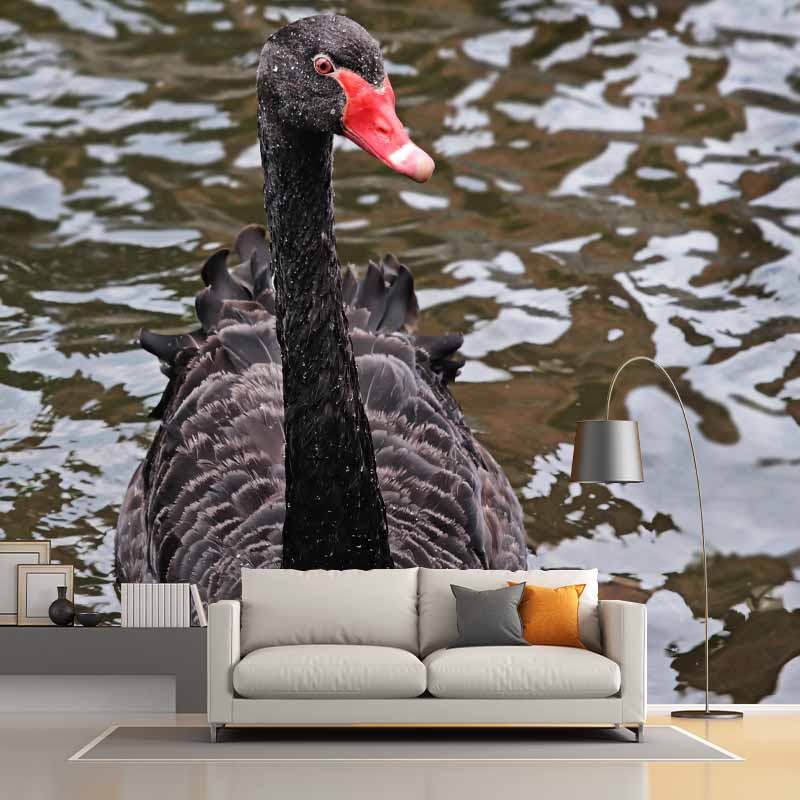 Photography Black Swan Wall Mural Decorative Mildew Resistant for Living Room