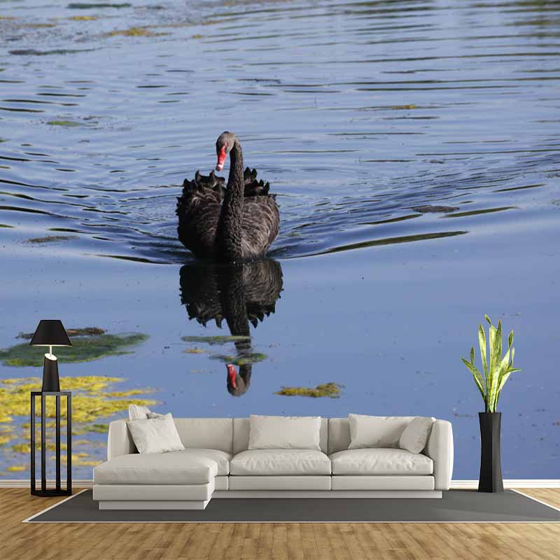 Photography Black Swan Wall Mural Decorative Mildew Resistant for Living Room