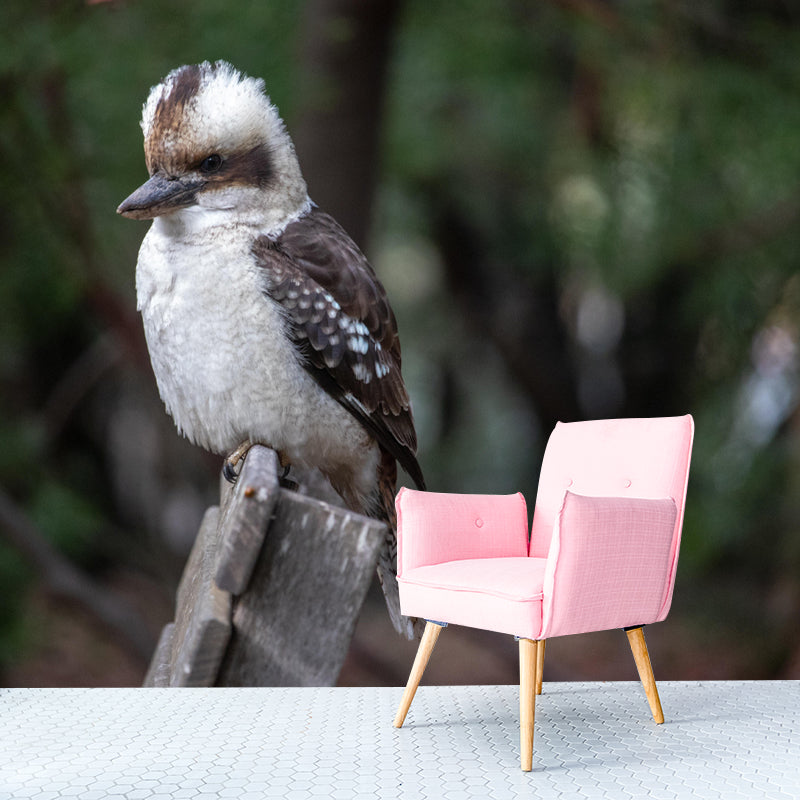 Horizontal Photography Kookaburra Wall Mural Decorative Mildew Resistant for Living Room