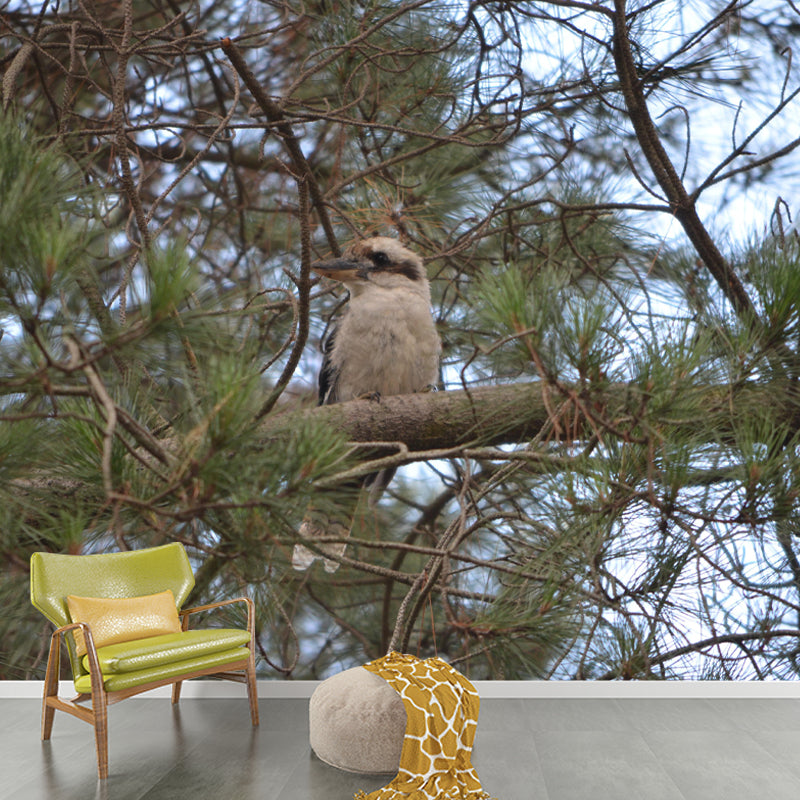 Horizontal Photography Kookaburra Wall Mural Decorative Mildew Resistant for Living Room