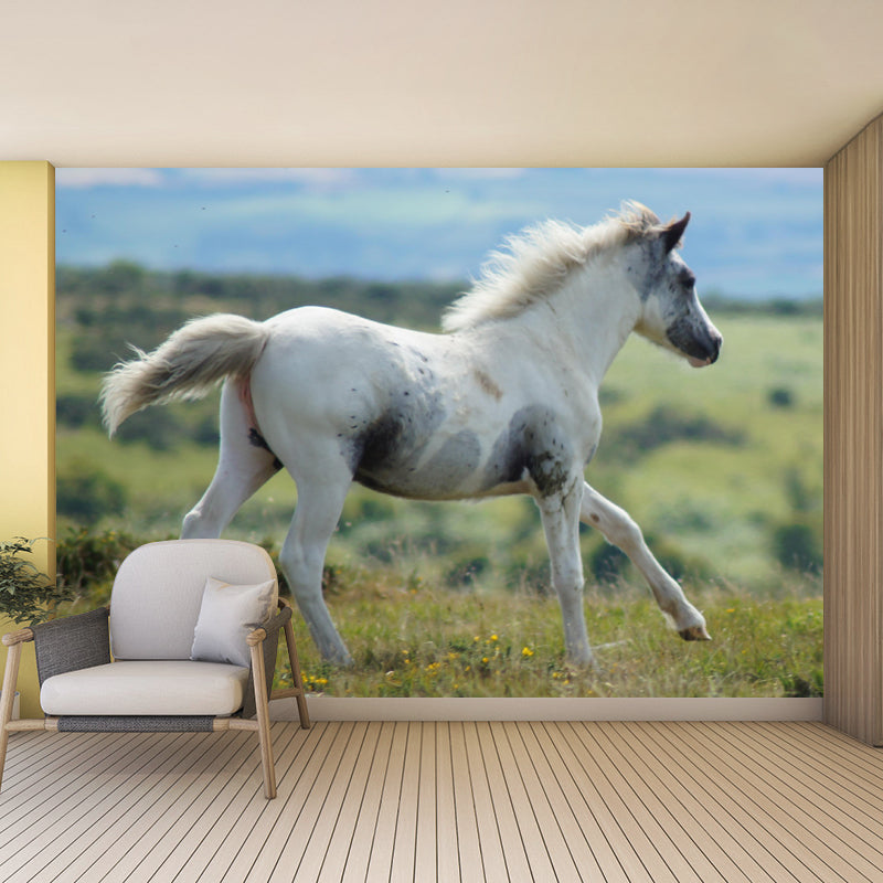 Horizontal Photography Horse Wall Mural Decorative Mildew Resistant for Living Room